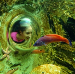 Bolla interattiva Bolla interattiva