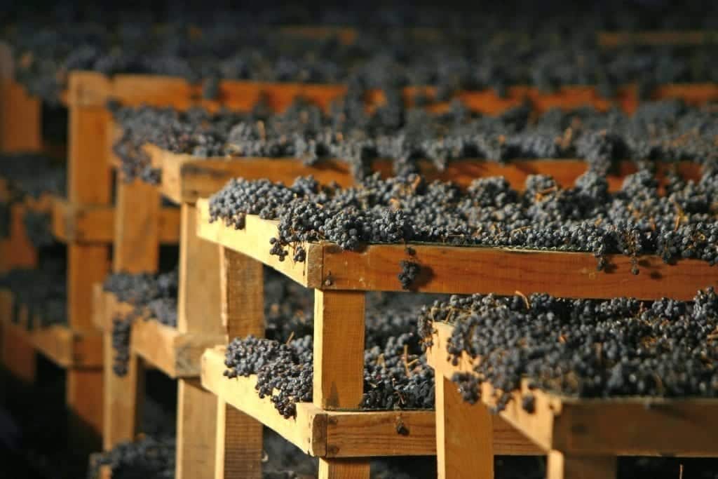 Il Sagrantino apre alla Cina e consolida il mercato tedesco Il Sagrantino apre alla Cina e consolida il mercato tedesco