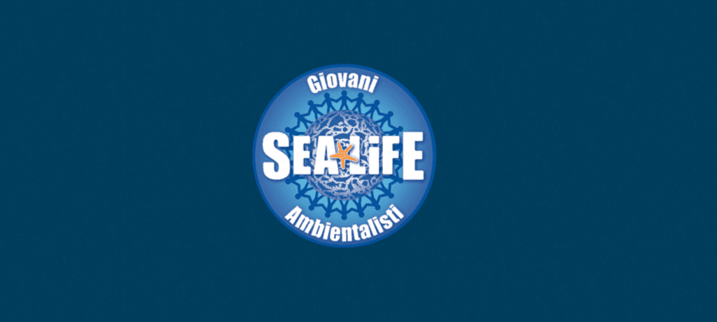 SEA LIFE Roma Aquarium Ricerca 12 Giovani Ambientalisti per la salvaguardia delle creature marine